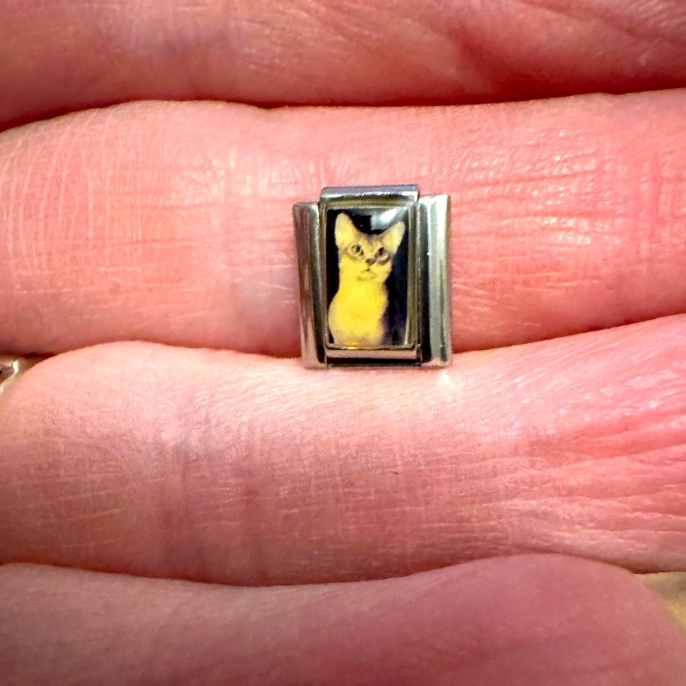 Uberry Italian Charms Mystery CATS Bracelet Links Lot Of 50 9 MM StainlessSteel